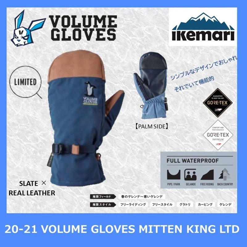 VOLUME GLOVES 2021-22 ボリューム 全日本送料無料 - スキー 