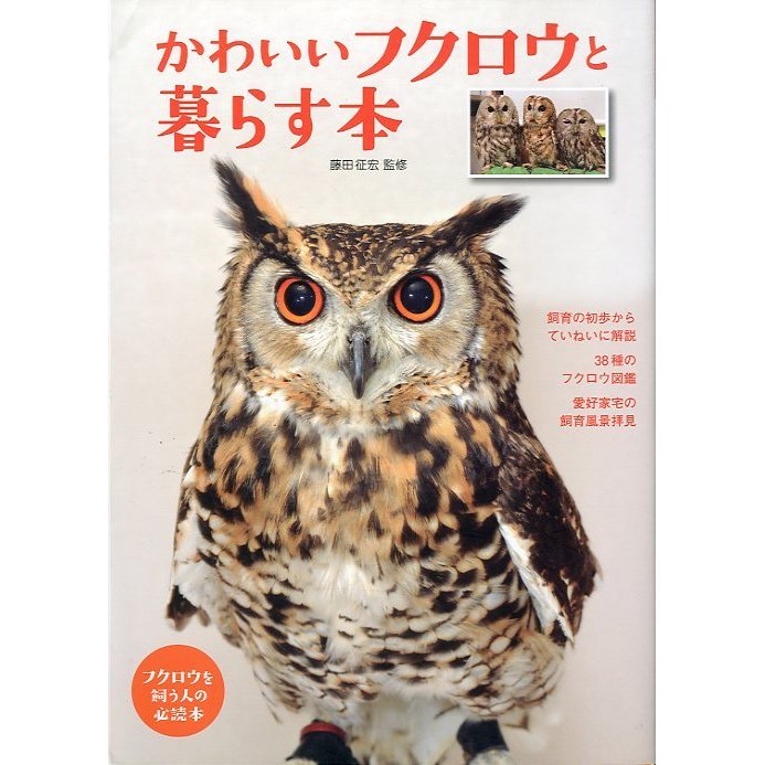 かわいいフクロウと暮らす本　　＜送料無料＞