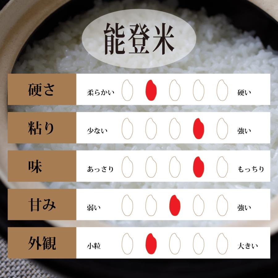 石川県産 コシヒカリ 10kg 5kg×2袋 令和5年産 新米 お米 白米 能登米 こしひかり 10キロ