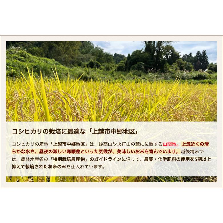 新潟県産コシヒカリ「そのまんま真空パック」精米6合×5パック  越後精米 送料無料