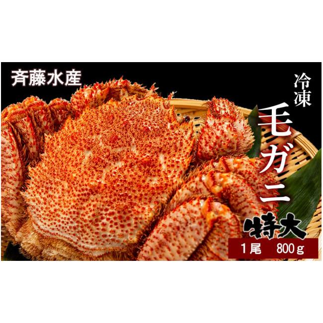 ふるさと納税 北海道 白老町 特大サイズ！冷凍毛がに約800g×1尾