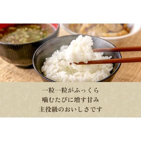 ふるさと納税 新潟県加茂市 七谷産 棚田米コシヒカリ 精米10kg（5kg×2）白米 加茂有機米生産組合 定期便 定期購.. 新潟県加茂市