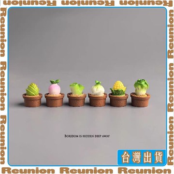 🏠臺灣出貨🏠Reunion✔可開發票無聊了!擺幾棵盆栽蔬菜治癒心情仿真小擺件電腦日式工位辦公桌面