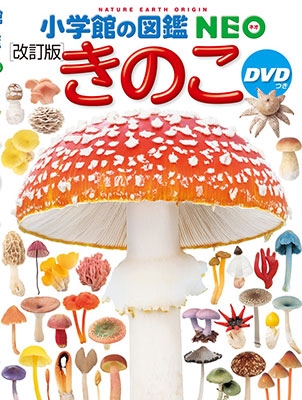 保坂健太郎 「小学館の図鑑NEO きのこ DVDつき[改訂版] ［BOOK DVD］」 Book