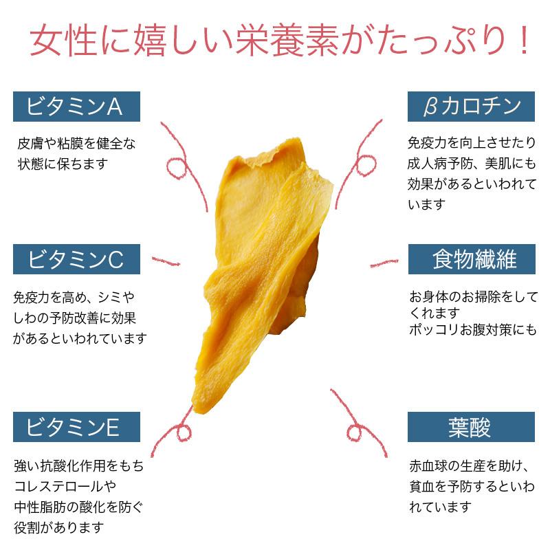 ドライフルーツ 今季限定特価 ドライマンゴー カンボジア産 無添加 砂糖不使用 500g 店主一押し マンゴー