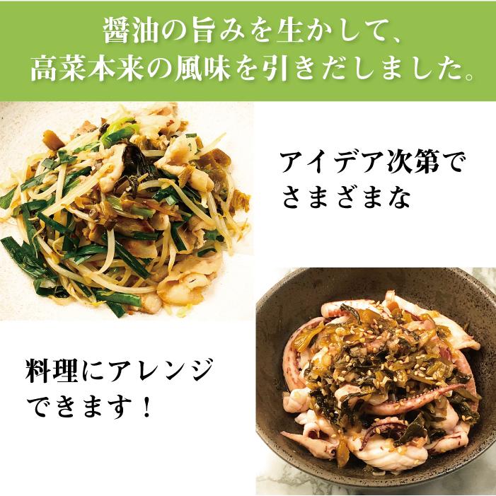 送料無料！イヌイの福岡県産辛子高菜「漬物語り」小辛5袋セット 300g×5袋セット