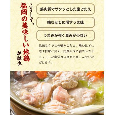 ふるさと納税 大任町 福岡限定!はかた地どり美人水炊き5種セット　2〜3人前(大任町)