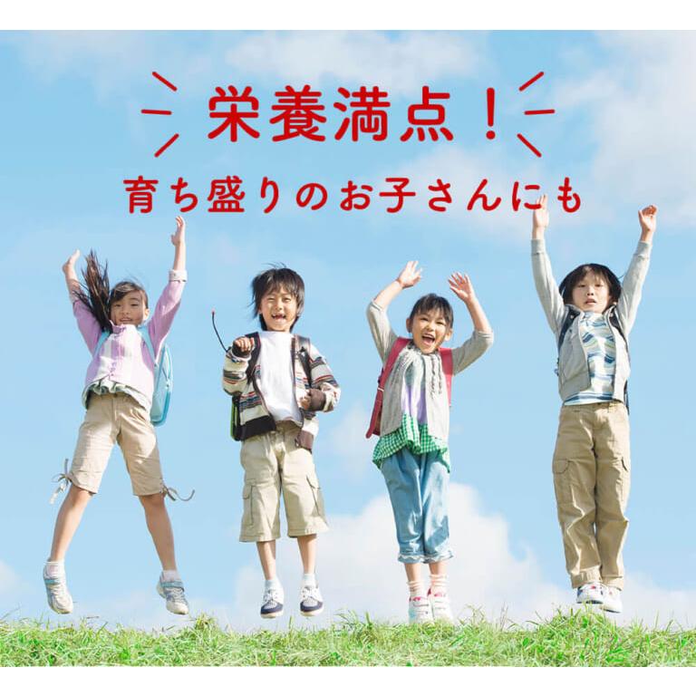 玄米ごはん レトルト エコパック 200g×30袋 無農薬・無化学肥料 令和5年福井県産新米 特別栽培米 コシヒカリ使用 送料無料