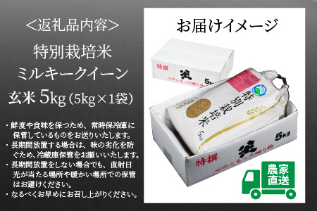 特別栽培米 ミルキークイーン 玄米 5kg 農薬不使用 化学肥料不使用 ／ 高品質 鮮度抜群 福井県産 ブランド米 自分で精米 あわら産 ブランド米