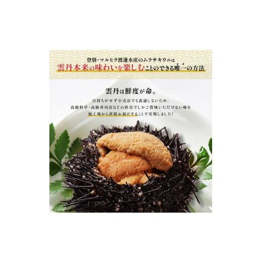 ふるさと納税 北海道 登別市 ≪規格外品≫キタムラサキウニ600g（100gパック入り×6個）※2024年6月下旬よりお届け