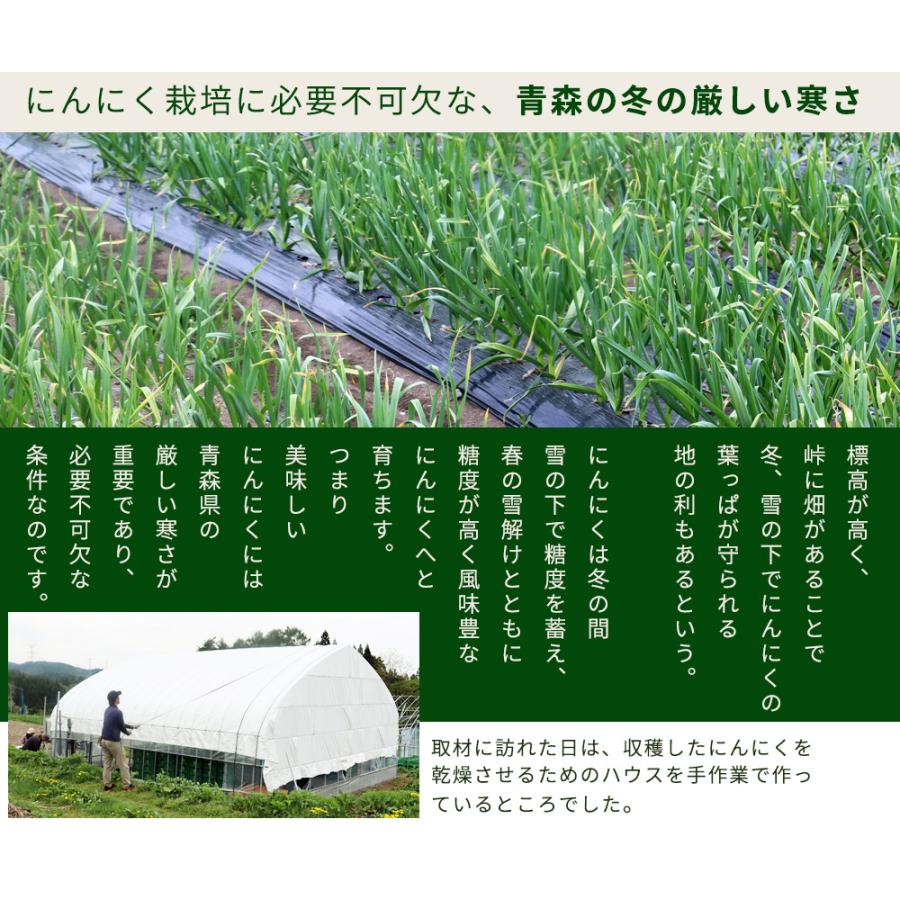 にんにく 青森県産 訳あり 3kg バラ詰め 送料無料 2023年度産 [産地直送のため他商品と同梱不可]