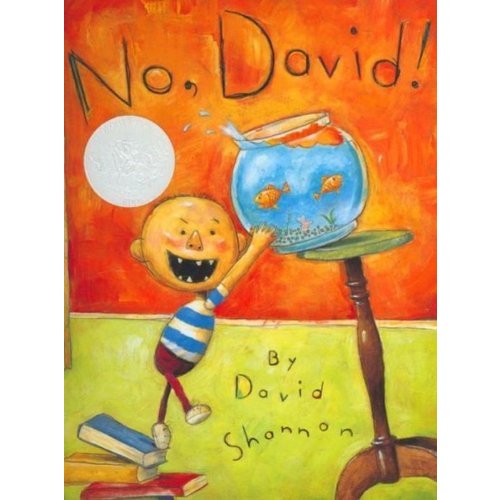 No  David! (Caldecott Honor Book)