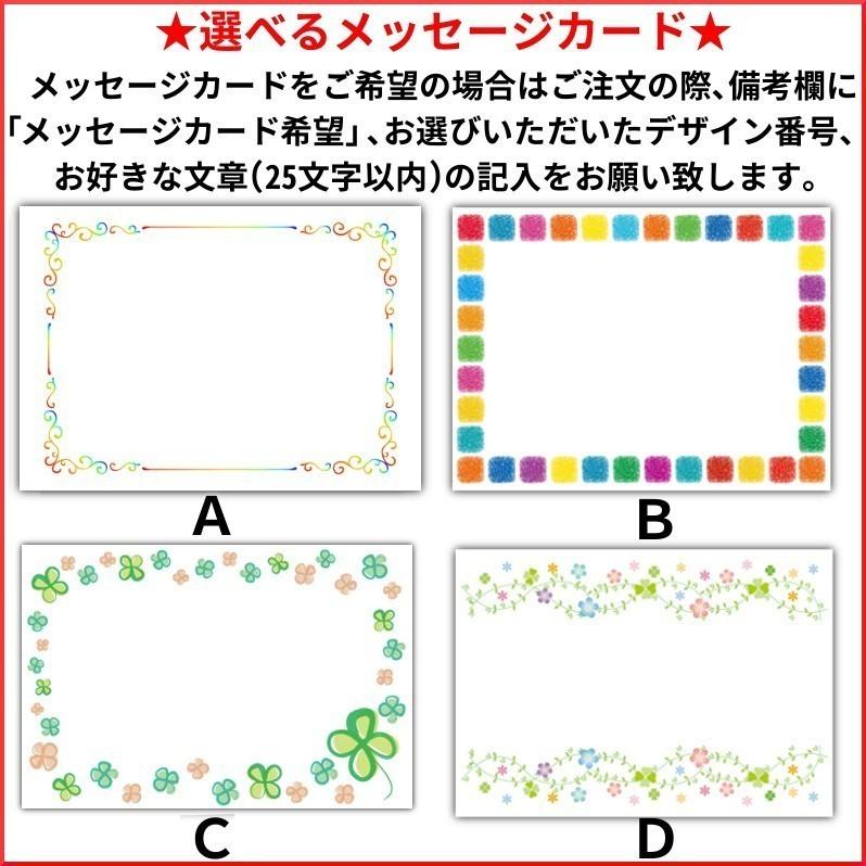 かに鍋セット 送料無料 ズワイ タラバ かに カニ かに団子 鍋 蟹 かにみそ カニ味噌 贈答 お取り寄せ 御歳暮 クール便 ka-N01