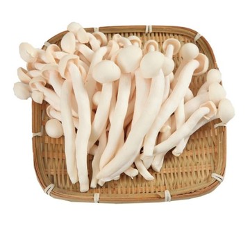 有機白精靈菇200g