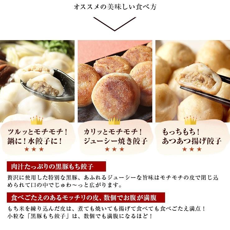 ギフト 高級 おつまみ お肉 食品 おつまみ おもちのぎょうざ　黒豚もち餃子 20g×24個 送料無料 ギフトボックス入