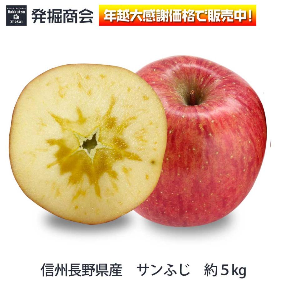 りんご サンふじ 約5kg 2023年収穫 信州 長野県産 期間限定