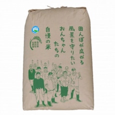 松原おんちゃん米コシヒカリ　特別栽培　玄米30kg