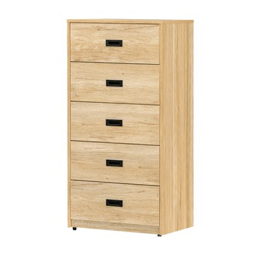 文創集 萊希2尺五抽斗櫃-61x40x125cm免組