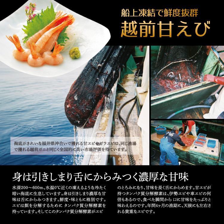 お歳暮 越前海鮮ぶっかけの具セット ３種 甘えび ふくいサーモン ベニズワイガニ 刺身 漬け 小分け 海鮮丼の具 魚介類 水産加工品 送料無料