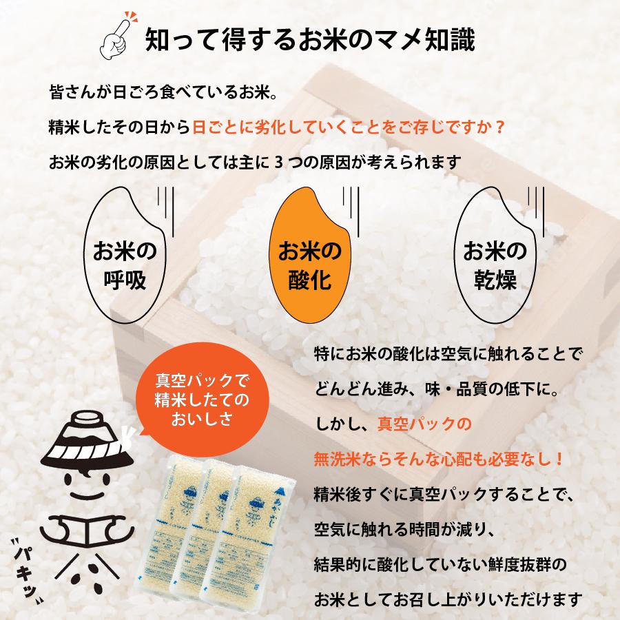 お米 福岡県産元気つくし 計4.5kg 1500g(150g×10)×3袋 令和3年産 あかふじ ぱきっと今日のごはん