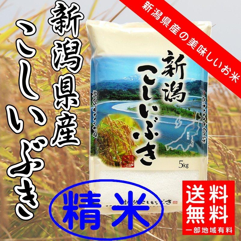 新米　お米　新潟産こしいぶき　精米５ｋｇ　本州送料無料　阿賀野市　令和4年産