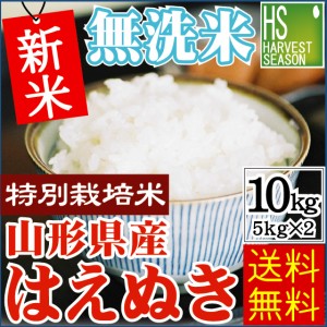 新米 令和5年産 無洗米 特別栽培米 山形県産 はえぬき 10kg(5kg×2袋)  [翌日配送] 送料無料 北海道沖縄へは別途送料760円