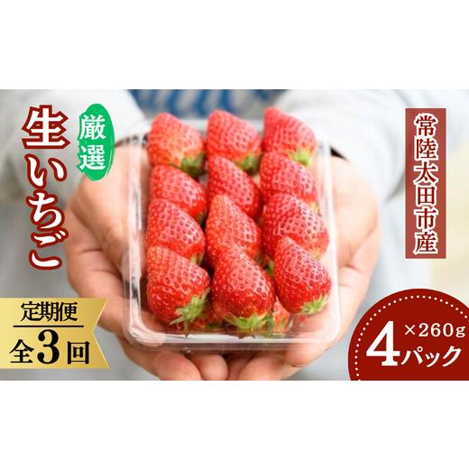 ふるさと納税 茨城県 常陸太田市 桧山FRUITFARM 朝採れ 厳選いちご  ４パック× 3回 　【茨城県 常陸太田  大粒 いちご いばらキッス ひたち姫 …