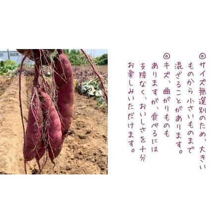 ふるさと納税 茨城県産 さつまいも 紅はるか 5kg （ 土付き サイズ無選別 ） べにはるか いも 茨城 甘い おいしい 美味しい 茨城県つくばみらい市