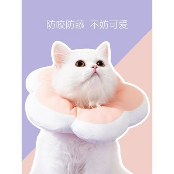 伊麗莎白圈貓絕育項圈防舔貓圍脖貓咪脖圈頸圈小貓頭套狗寵物用品