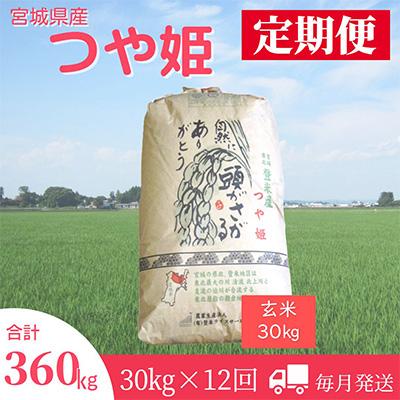 ふるさと納税 登米市 2024年1月発送開始『定期便』宮城県登米市産つや姫(玄米)30kg　全12回