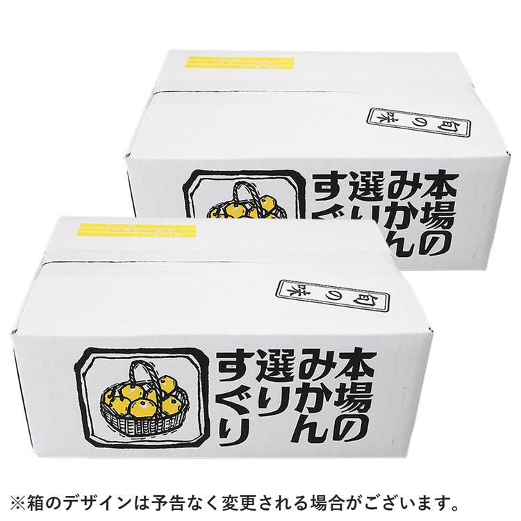 みかん 5kg (2.5kg×2箱) 大玉 訳あり 産地厳選 ご家庭用 2Lサイズ 常温便 同梱不可 指定日不可