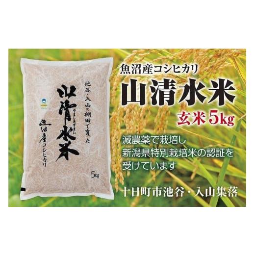 ふるさと納税 新潟県 十日町市 新潟県魚沼産コシヒカリ「山清水米」玄米５kg