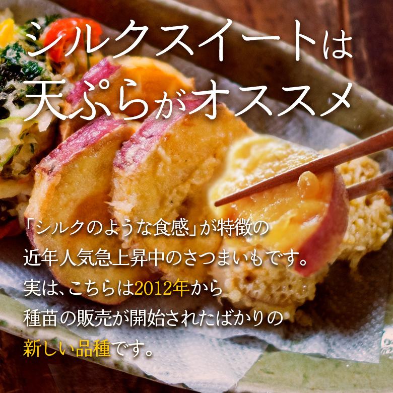 熊本県産 紅はるかorシルクスイート 2kg 送料無料