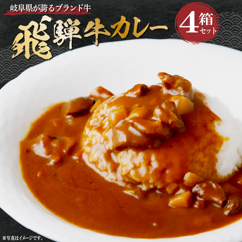 飛騨牛 カレーセット