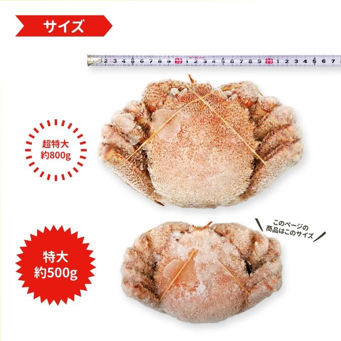 毛がに 特大 約500g 2杯 ボイル 毛ガニ 北海道 国産 送料無料 1kg