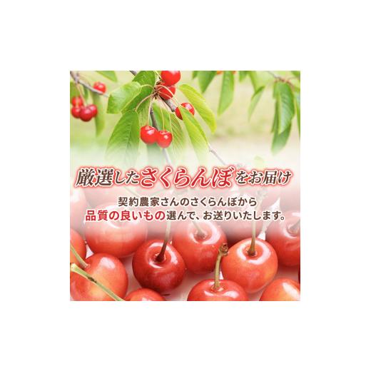 ふるさと納税 北海道 仁木町 先行予約 北海道 仁木町産 さくらんぼ 約2kg 2Lサイズ 仁木ファーム 果実