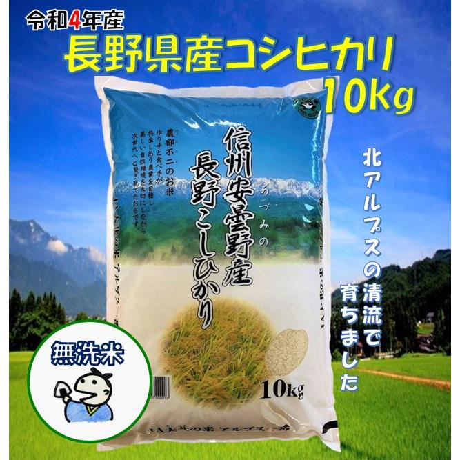 新米入荷しました！　令和5年産　長野県産コシヒカリ10kg（無洗米）