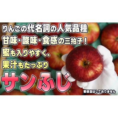 ふるさと納税 鶴田町  贈答用 葉取らずサンふじ 約5kg  青森県産りんご