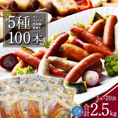 ふるさと納税 寒河江市 5種のウインナー詰め合わせ 合計2.5kg(125g×小分け20パック:計100本)　017-D10