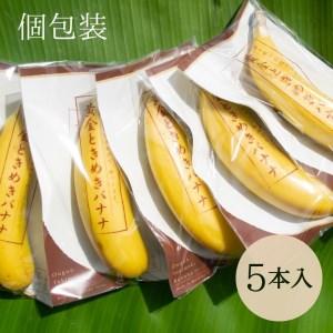 ふるさと納税 CA001　黄金ときめきバナナ　フルーツ　国産 栃木県益子町