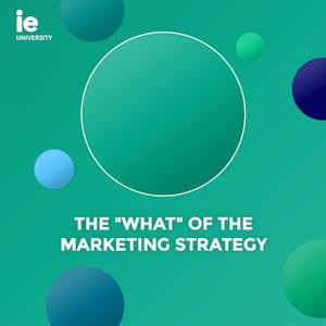 The "What" of the Marketing Strategy