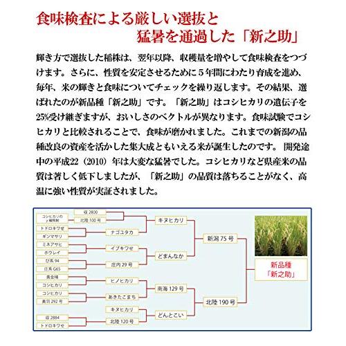 新米 令和5年産 新潟県長岡産新之助 5kg 新潟から産地直送 五ツ星お米マイスター推奨米