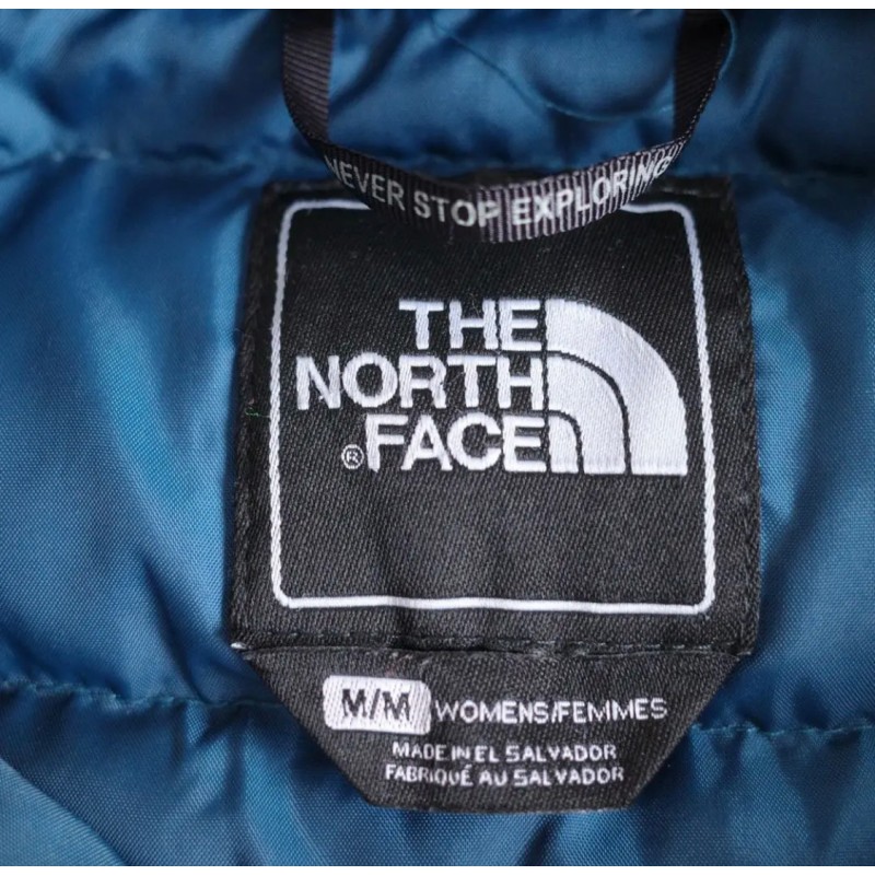 ザノースフェイスUS規格フリースダウンジャケットMブルーTHENORTHFACE