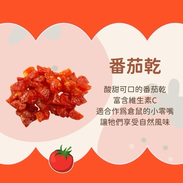 番茄乾 120gPet Village 小動物天然果乾