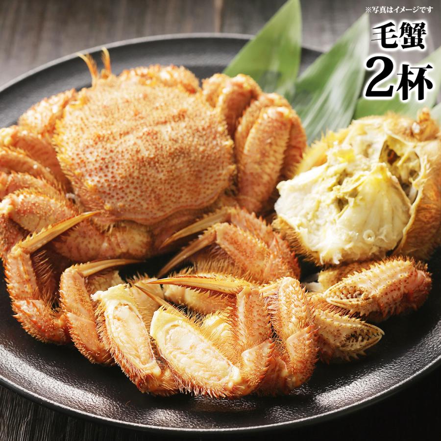 産地直送 お取り寄せグルメ ギフト 毛蟹 2杯 毛ガニ 毛蟹 蟹 カニ 食品 送料無料