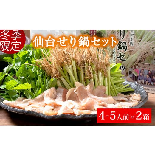 ふるさと納税 宮城県 名取市 漁亭 浜や 名取名産　美味なる根っこを食す「せり鍋セット」4、5人前×2箱セット