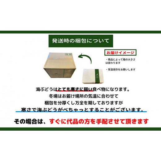 ふるさと納税 沖縄県 糸満市 ぷちぷち海ぶどう300g