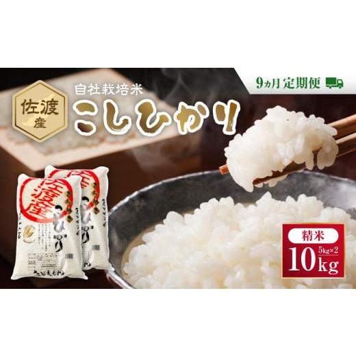 ふるさと納税 新潟県 佐渡市 自社栽培米佐渡産こしひかり（精米10kg）9カ月定期便