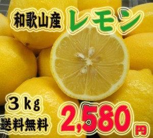 国産レモン！　和歌山産レモン3ｋｇ　2,580円