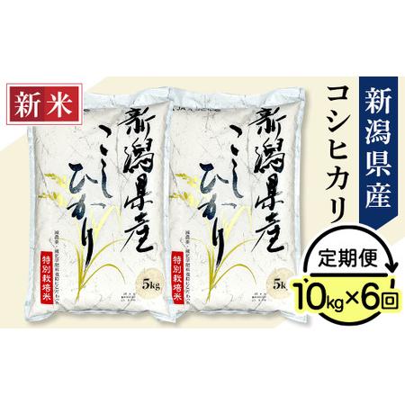 ふるさと納税 75-3N106新潟県長岡産コシヒカリ10kg（特別栽培米） 新潟県長岡市